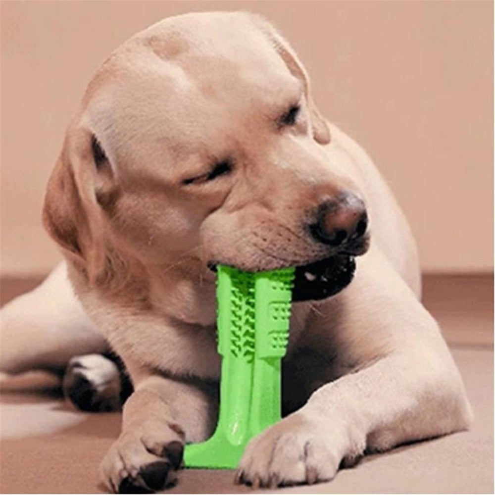  Buy Pets Dogs Cats Puppy Toothbrush Stick Toys -Buy Cheap Online Store Melbourne Sydney Perth Adelaide Canberra New Southwalse Australia