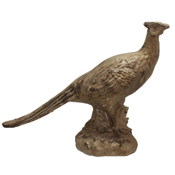 Pheasant Standing