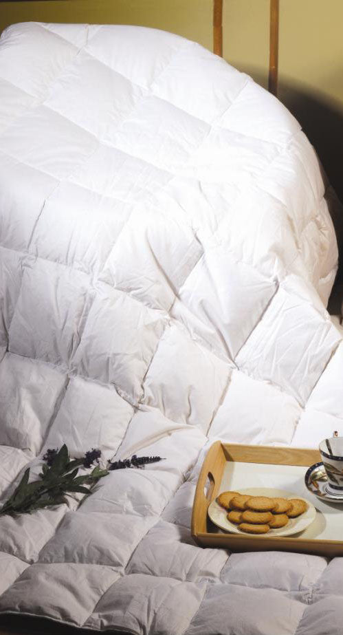 King Quilt - 100% White Goose Feather