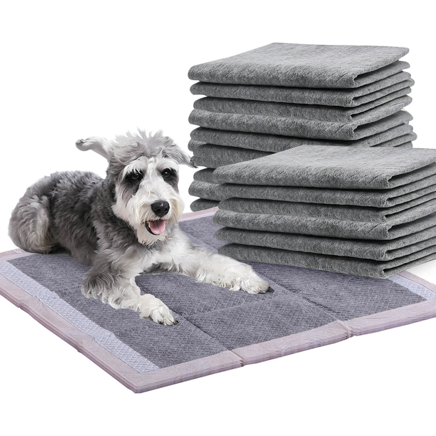 PaWz 200 Pcs 60x60cm Charcoal Pet Puppy Dog Toilet Training Pads Ultra Absorbent