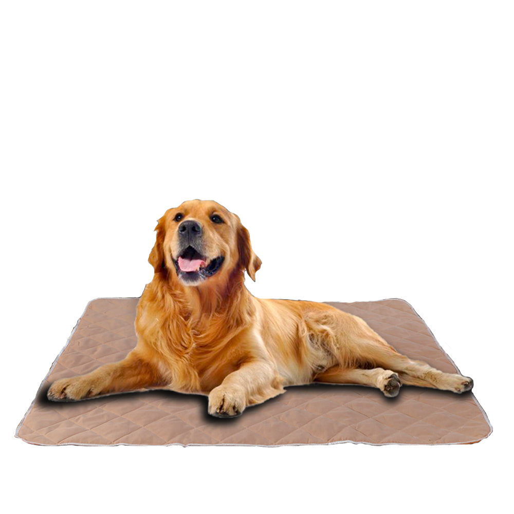 PaWz 2 Pcs 70x80 cm Reusable Waterproof Pet Puppy Toilet Training Pads