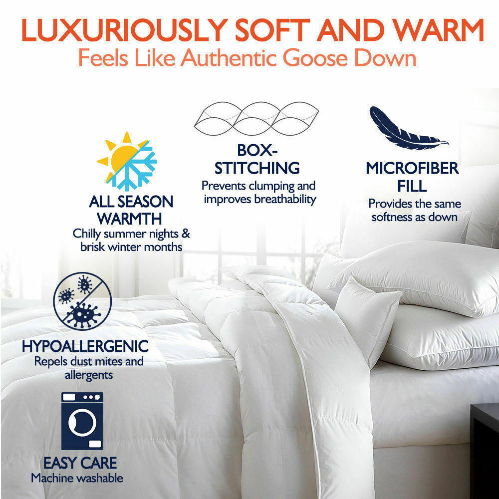 DreamZ All Season Microfiber Down Alternative Comforter Quilt in Queen Size