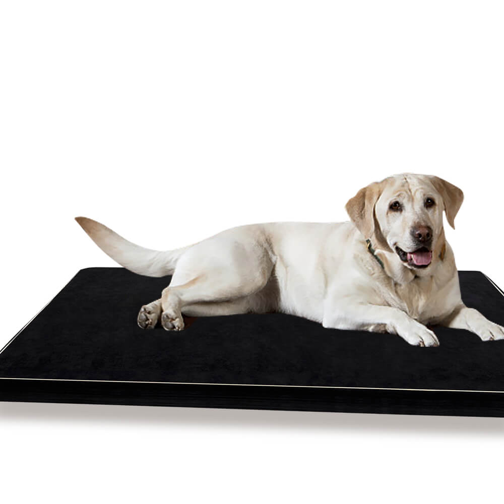 PaWz 5CM Memory Foam Orthopaedic Pet Bed Dog Puppy Mat Cat Pad Cushion XL