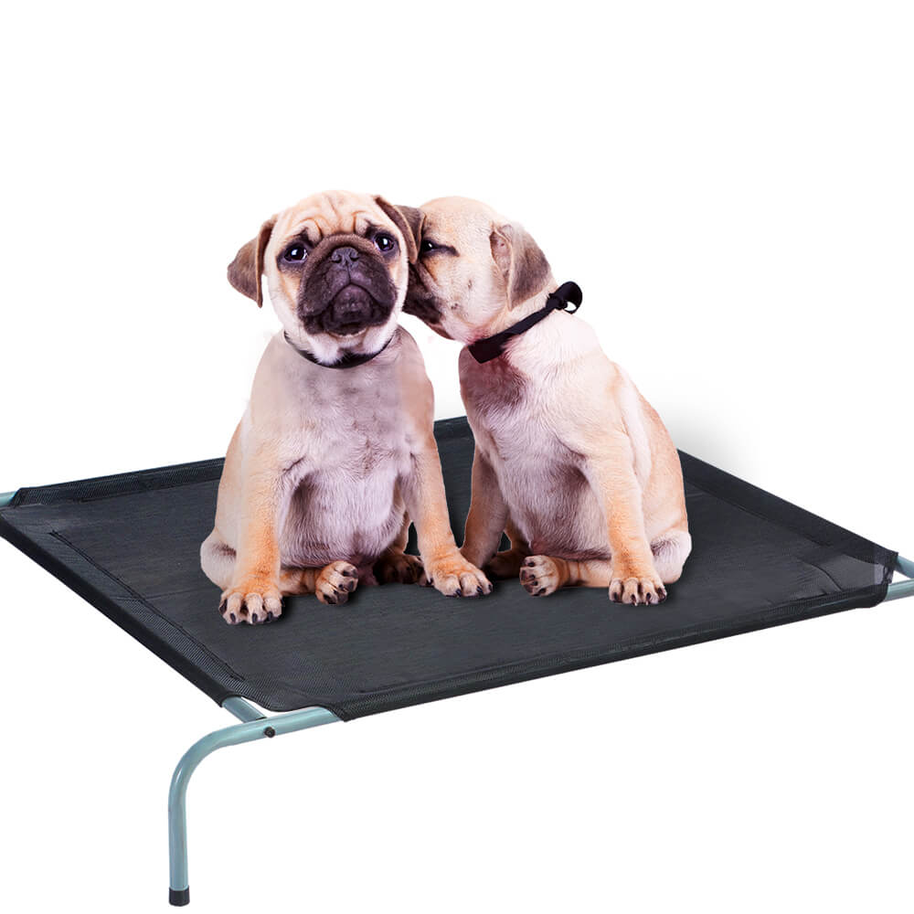 PaWz Bed Trampoline Pet Dog Puppy Cat Heavy Duty Frame Hammock Mesh Size M