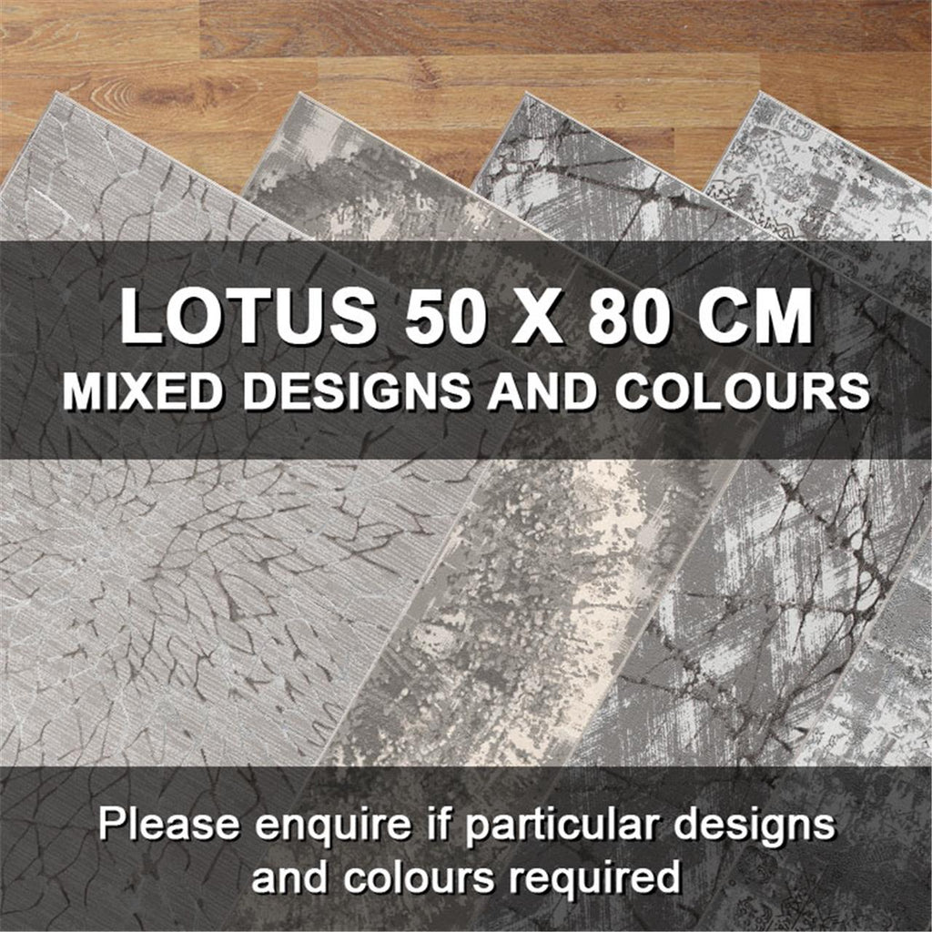 Turkish Persian Lotus Mixed 50x80 Rugs - Store Zone-Online Shopping Store Melbourne Australia