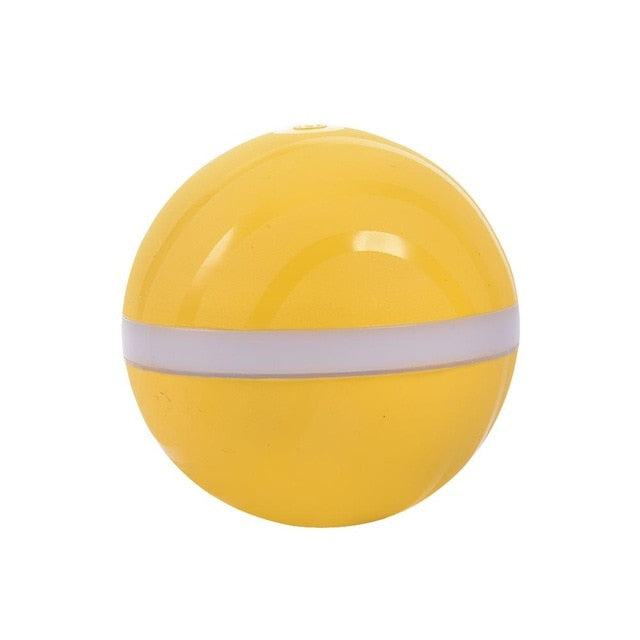 Motion Ball For Pets - Store Zone-Online Shopping Store Melbourne Australia