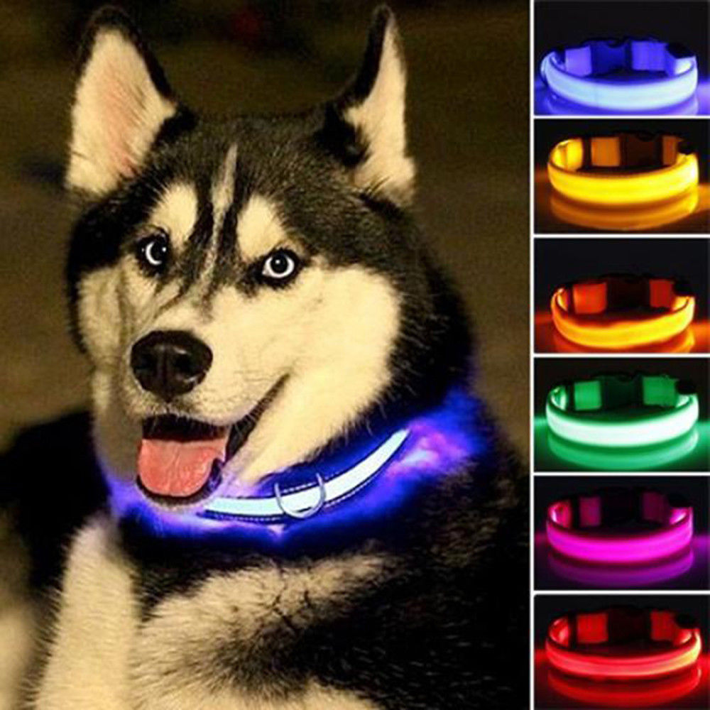 Nylon LED Pet dog Collar,Night Safety Flashing Glow In The Dark Dog Leash,Dogs Luminous Fluorescent Collars Pet Supplies