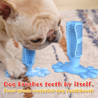 Pets Dogs Cats Puppy Toothbrush Stick Toys - Brush Effective Toothbrush For Dogs Pets Oral Care Tooth Sticks