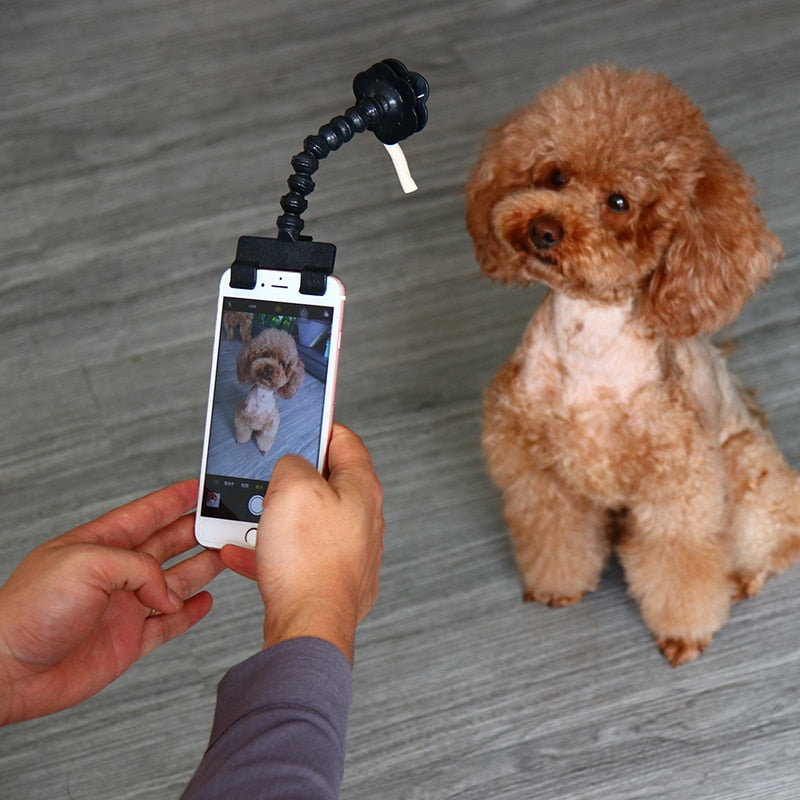 Selfie Stick for Pets Dog Cat Puppy fit iPhone Samsung and Most Smartphone Tablet-Buy Cheap Online Melbourne Australia