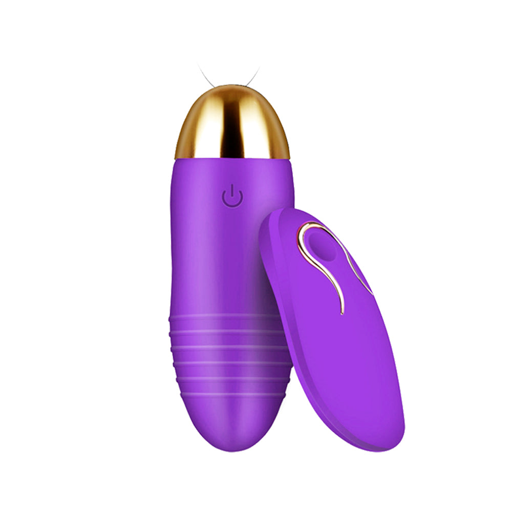 10 Speed Vibrator USB Love Egg Sex Adult Toy Wireless Remote Control Clit Purple