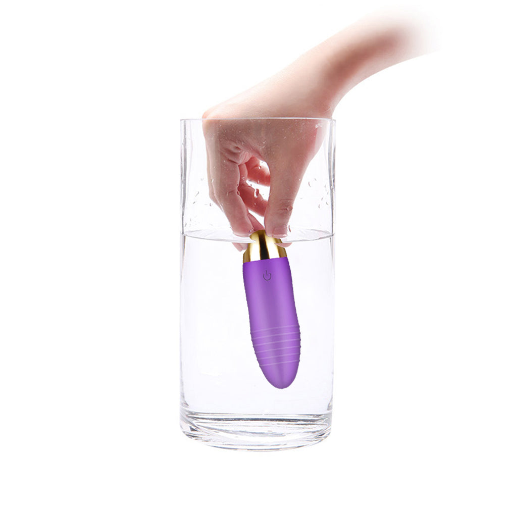 10 Speed Vibrator USB Love Egg Sex Adult Toy Wireless Remote Control Clit Purple